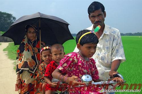 ebay hosting 80x80 ladybugs adaptations untitled19