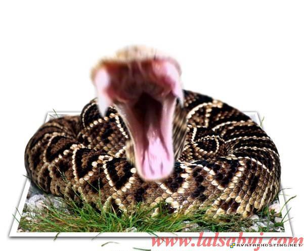 private photo hosting avatar 319 80 x 80 avatar 9