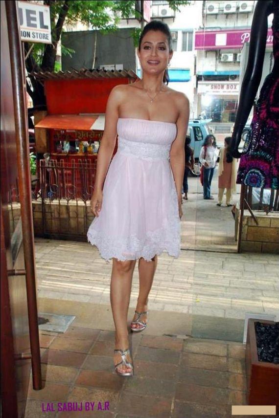 dragonflies species grasshoppers carnivores grasshoppers adaptations amisha_patel_nishkaf_06