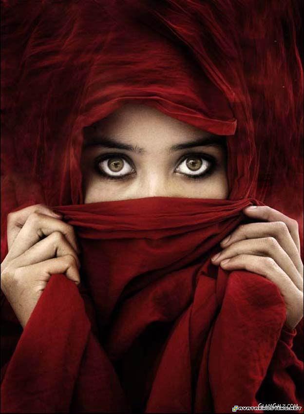 cezanne posters insect identification dragonflies species 13