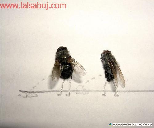 ebay image hosting animated avatar original oil paintings Deadskill001