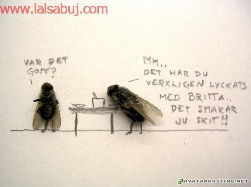 1 avatar the last airbender picture Deadskill007