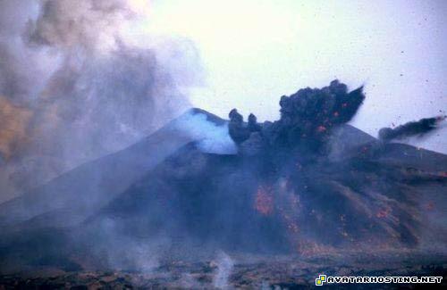 oil painting gallery avatar books picture upload 02