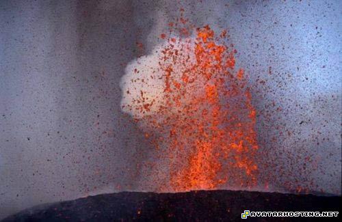 cartoon avatars fine art gallery framed insects 2