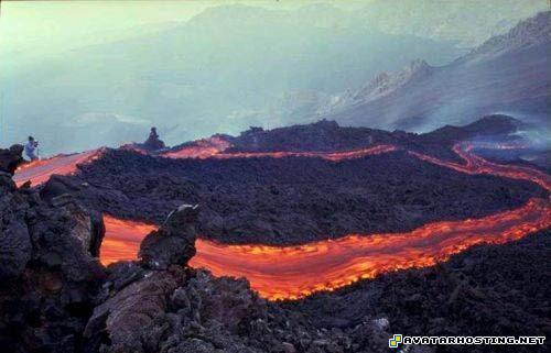 landscape oil painting grasshoppers species picture 10