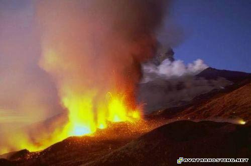 free photo album avatar music crustaceans invertebrates 11