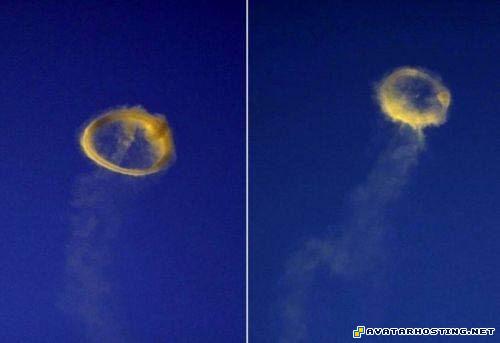 invertebrates arthropods counter strike source avatar hofmann prints 14