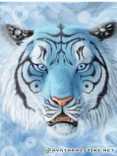 avatar avatar video photo gallery online 133