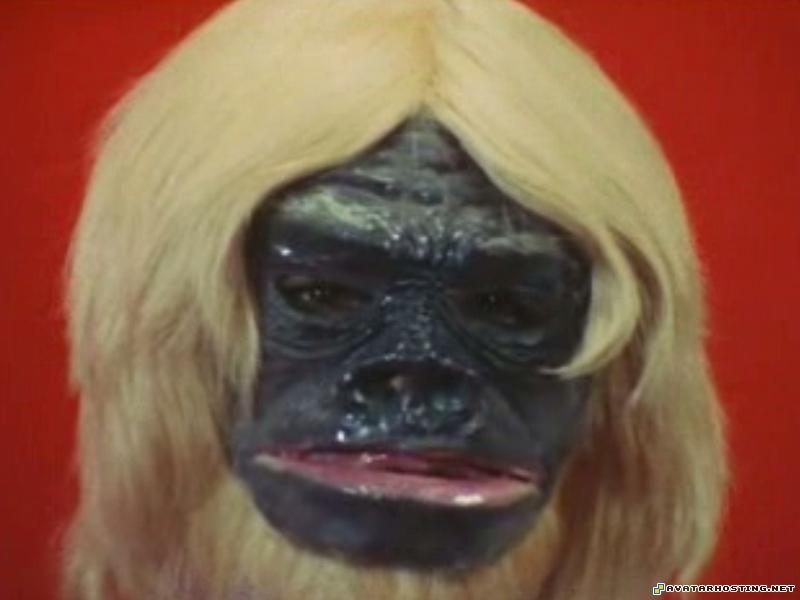 new photo album avatar film vents avatar blue goridoc