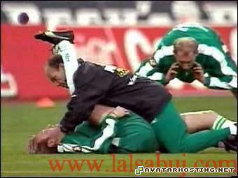 avatar schedule hosting arthropods habitats MILFHunter