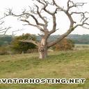 image shack photo hosting avatar book 1 message board avatar oaktree