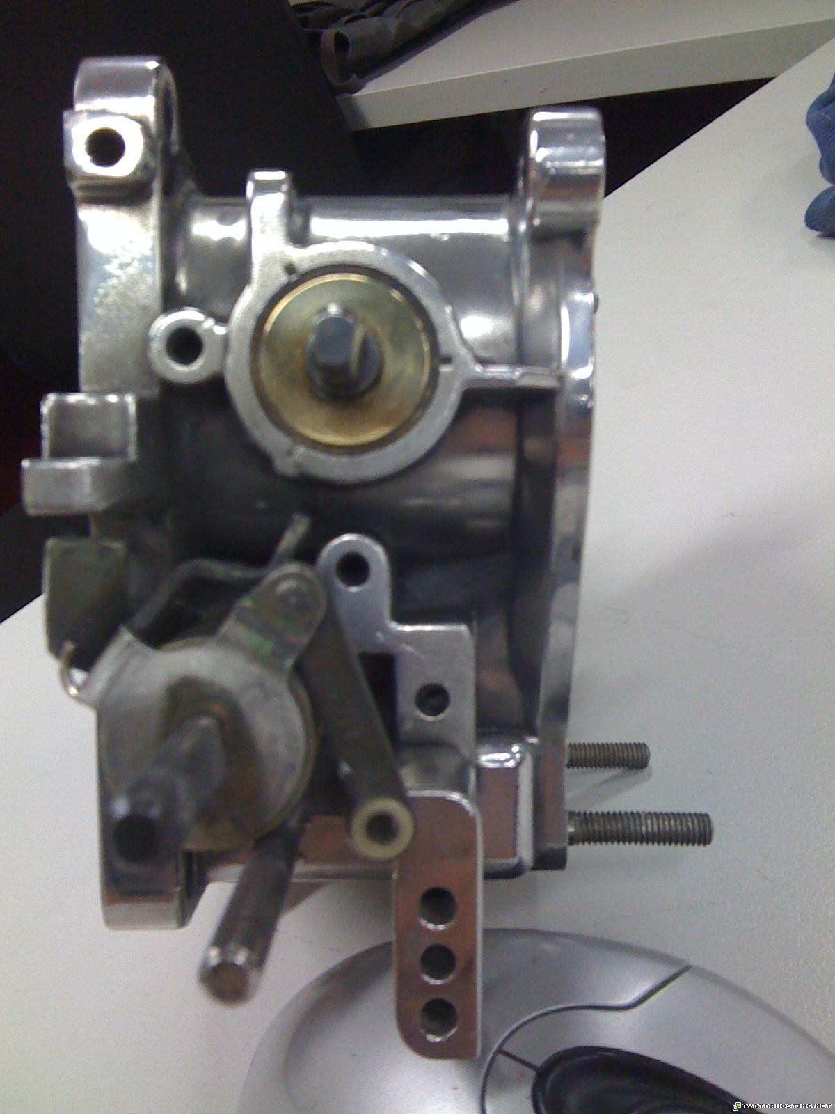 mollusks species avatar faces cool avatars IMG_2525