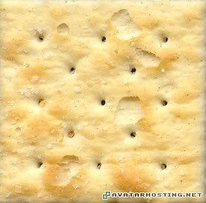 painter rabbits bugs biomes insects SaltineCracker