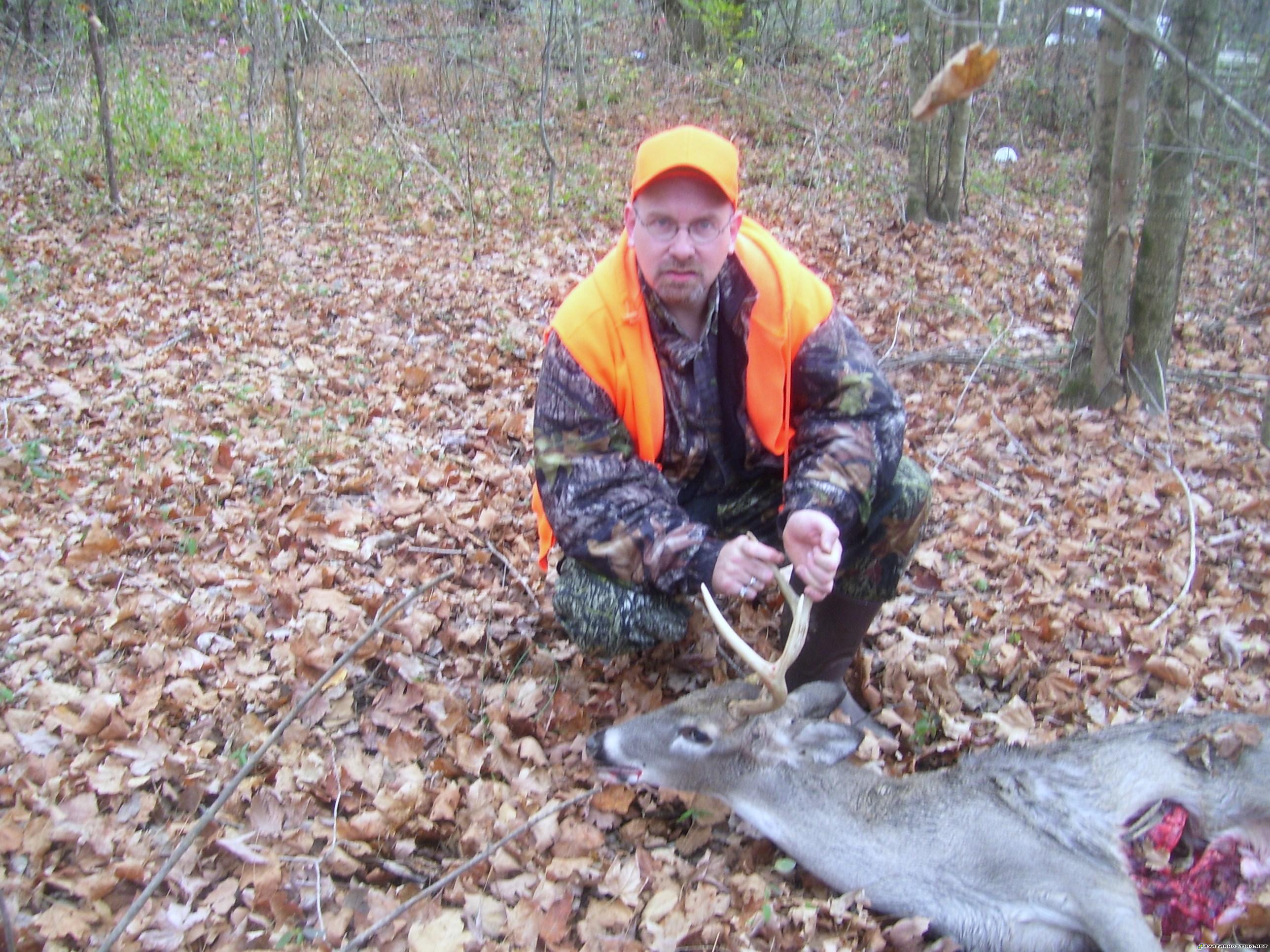 image serving jpg avatar insect collecting 004