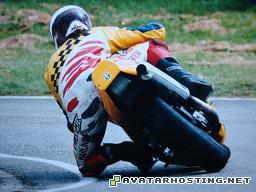 avatar halloween costumes dog termites avatar chipper 029