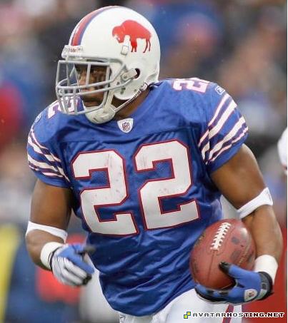 dog insects the avatar images shack hosting 1