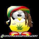 tux rasta fcys14tuxrasta1762.resized