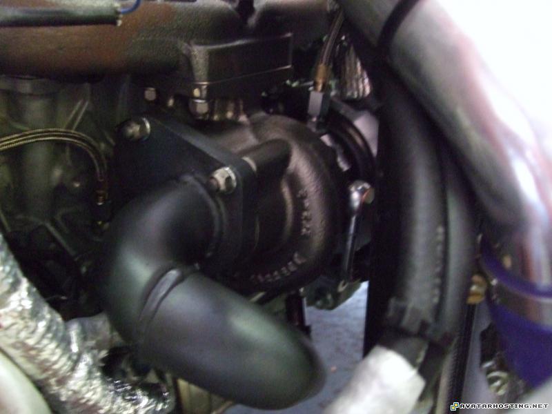 insects temperate landscape oil paintings photo DSCF0006