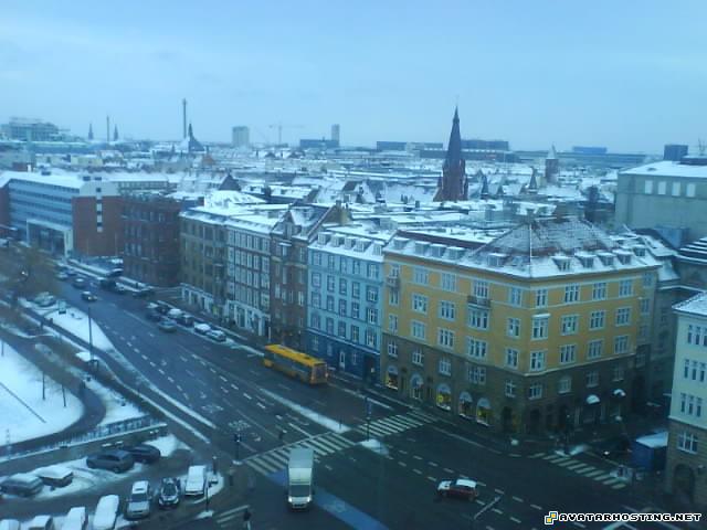 millipede adaptations free image hosting service online avatar creator DSC00267