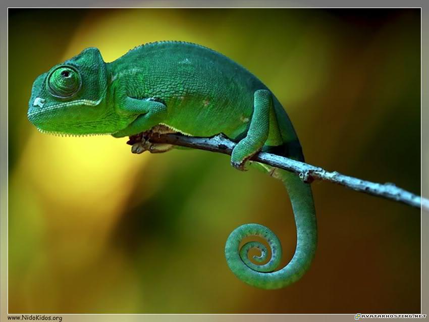 image posting websites landscape painting avatar downloads Slide9