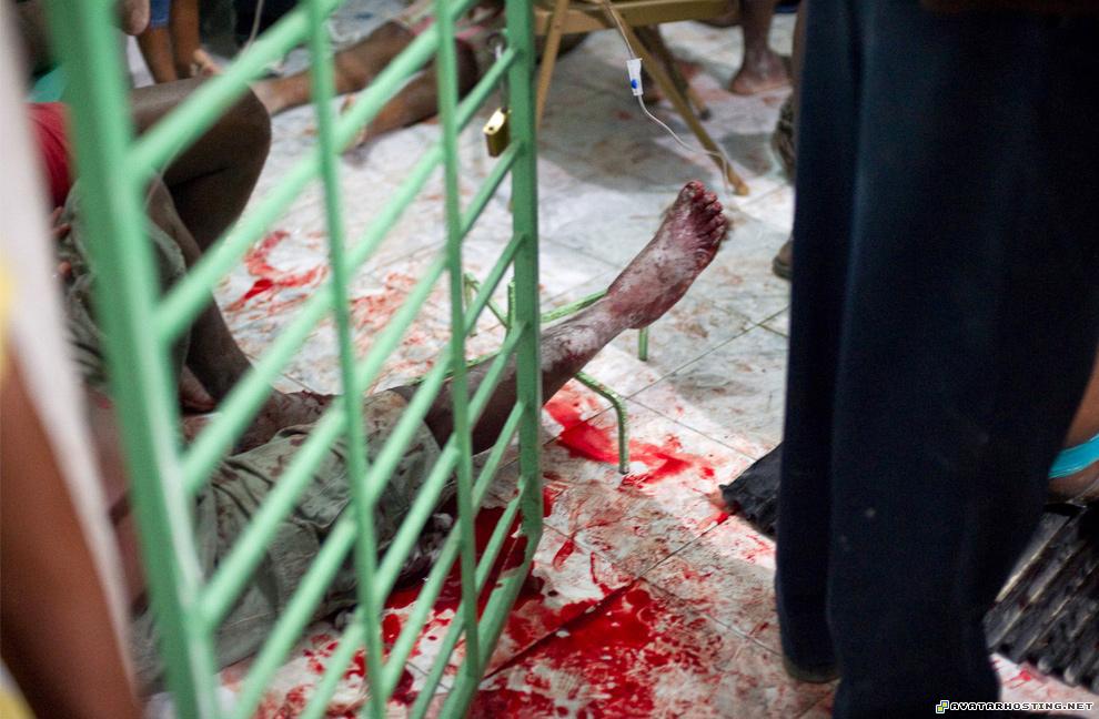 cezanne posters online avatar creator insects organisms 27