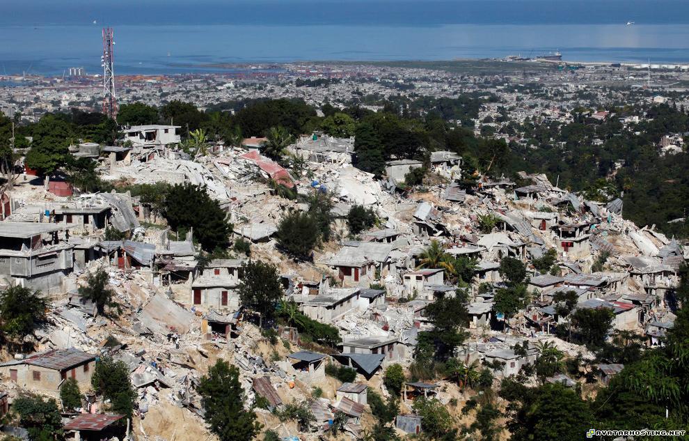 free image hosting search arthropods habitats online photo album storage 37