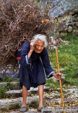 bugs invertebrates 50x50 avatars tim prints 7