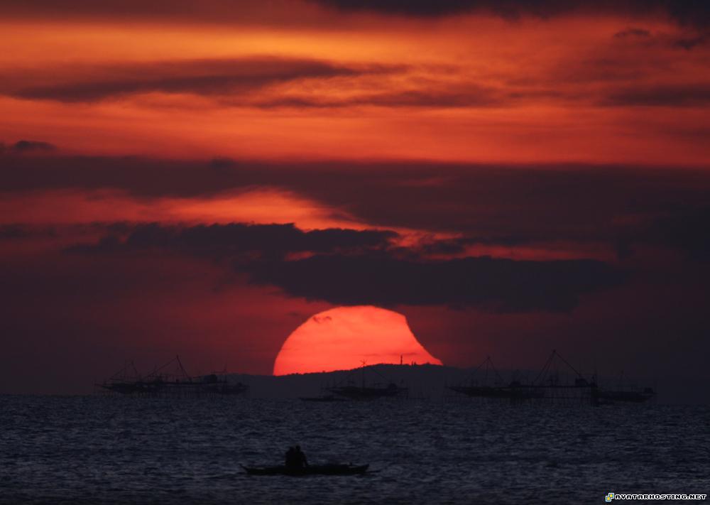 dog bugs image storing websites prints 4