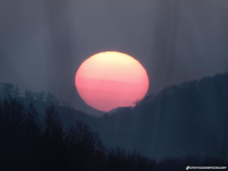 bugs habitats animation reproduction oil paintings 8