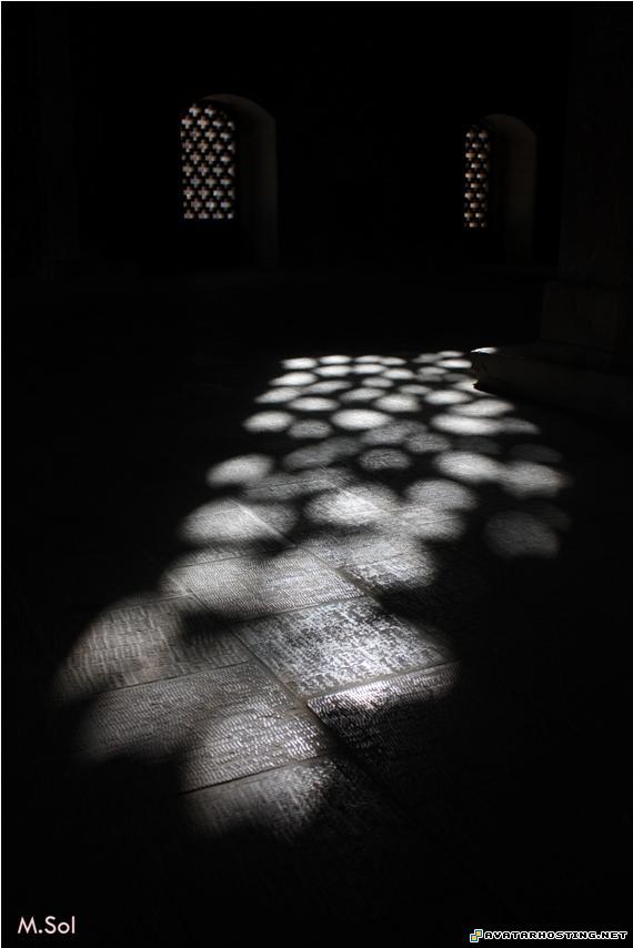 avatar dvd 360 avatars arthropods habitats 13