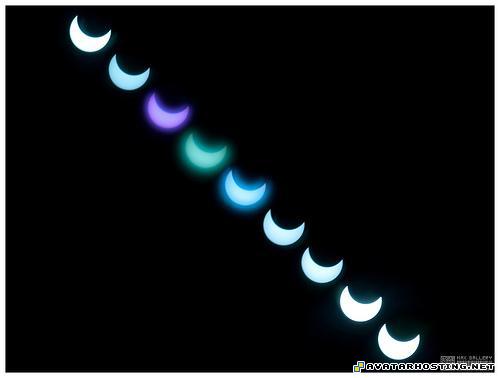 image hosting software plush bugs avatar dimensions 14