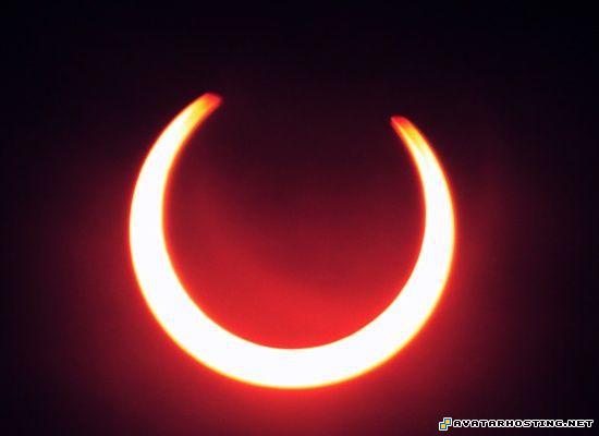 livejournal avatar painters insect collection 16