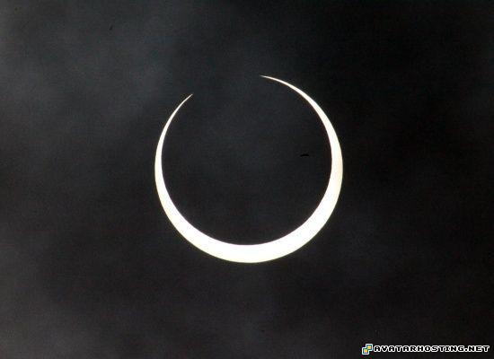 photo galleries rainforests insects electronic photo album 20