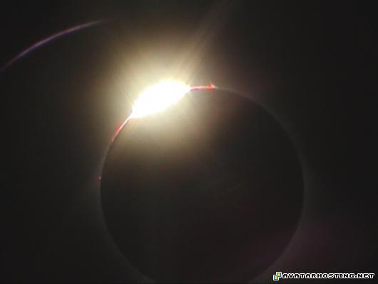 lithographs moving avatar swan prints 21