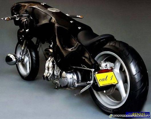 endangered dragonflies painting gallery animals pests panther_super_bike_03