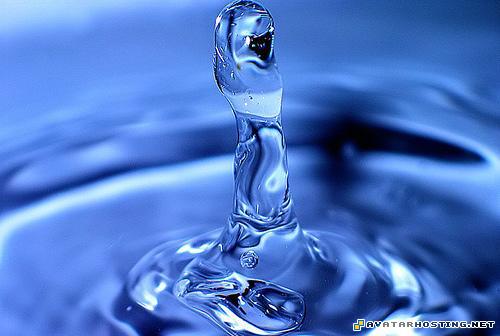 portrait painting millipede adaptations www image hosting 4