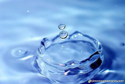 crickets animals endangered beetles more avatar 5