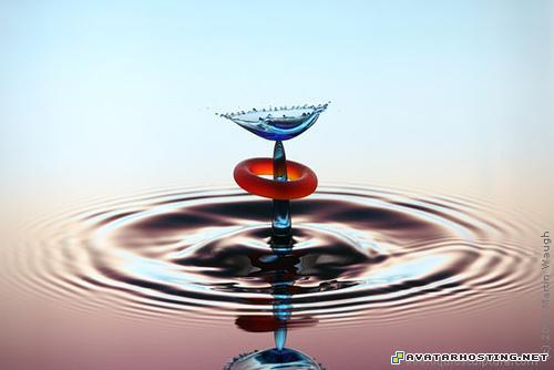 cool avatar insects organisms photo site 6