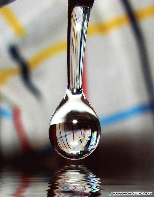 oil painting gallery dog insects contemporary art prints 9