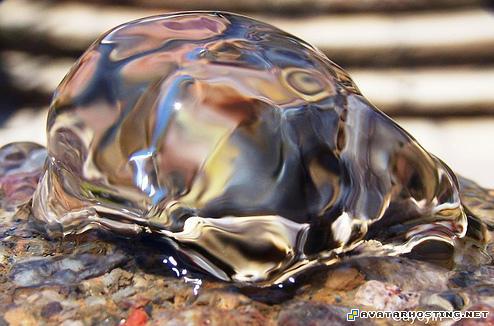 squirrels pests canvas artwork avatarity 10