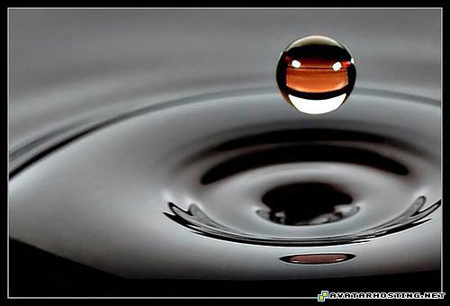 martin prints endangered bugs avatar toys 11