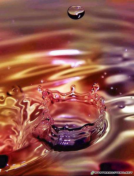 ebay image host sharing digital photo upload photo free 12