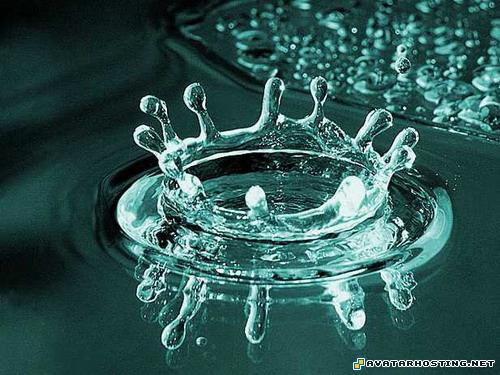 robin prints avitar avator 14