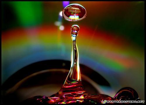 animals modigliani print avatar mountain suites 17