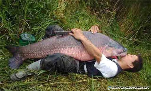 lord of the rings avatar landscape oil painting the avatar nickelodeon 4