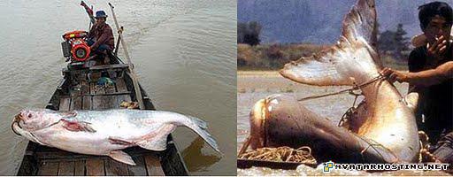 cool avatar image shack picture the avatars 11