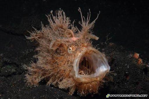 sculpture tv com avatar picture albums 33