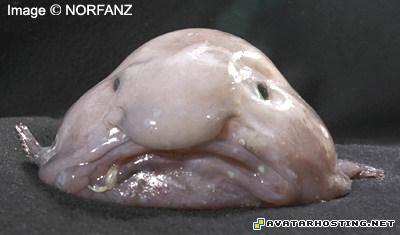 avatar books create avatar avatar pixels 38