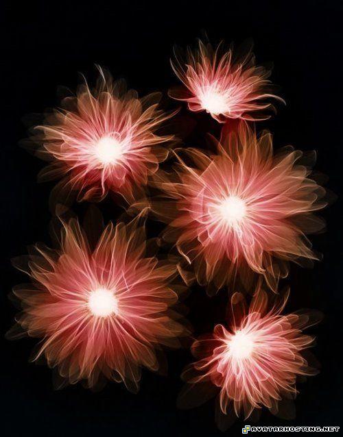 giraffe beetles avatar templates paintings for sale laser_flowersart_02