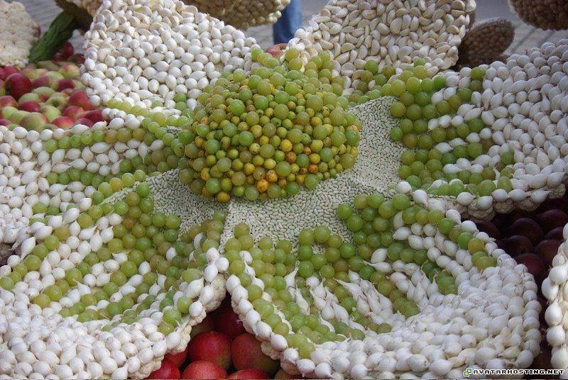 avatar youtube free avatars insect cruelty 2